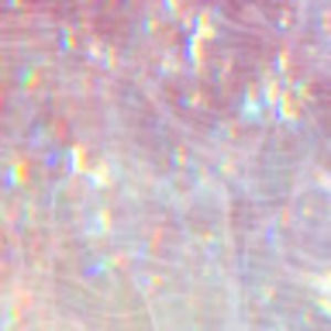 Meet your Posher, Claire